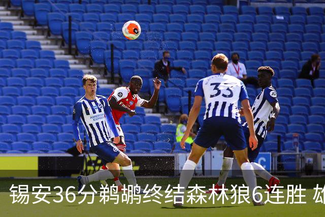 锡安36分鹈鹕终结森林狼6连胜 雄鹿险胜公牛